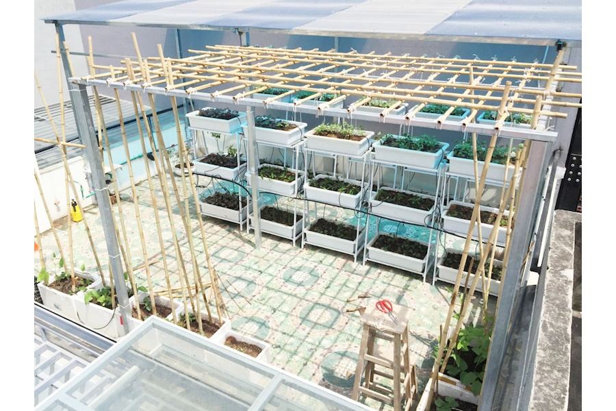 Thiết kế và Thi công dự án Rau sạch sân vườn 40m2 - Chú Kha