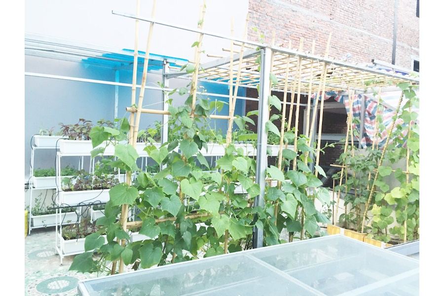 Thiết kế và Thi công dự án Rau sạch sân vườn 40m2 - Chú Kha