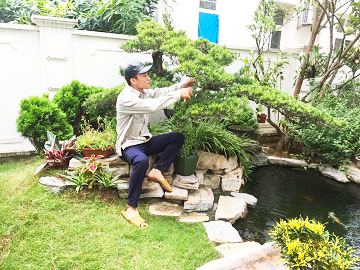 Thiết kế và Thi công dự án - Splendora