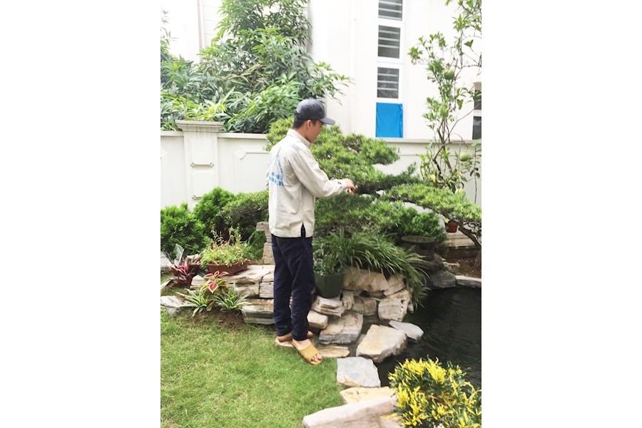 Thiết kế và Thi công dự án - Splendora