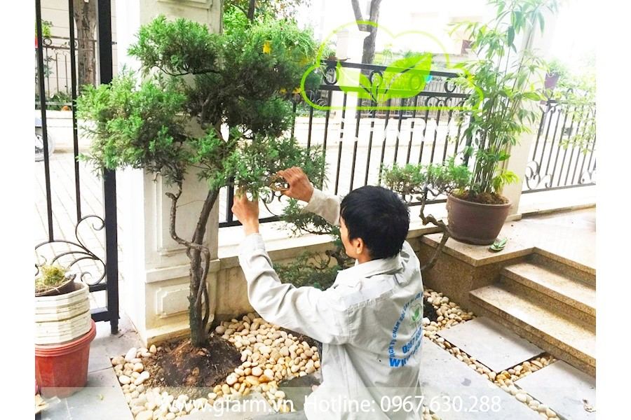 Thiết kế và Thi công dự án - Splendora