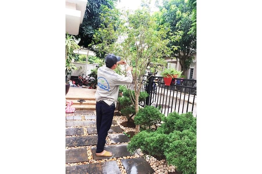 Thiết kế và Thi công dự án - Splendora