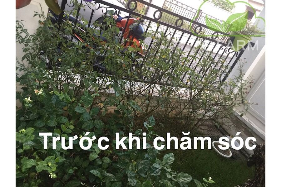 Thiết kế và Thi công dự án - Splendora