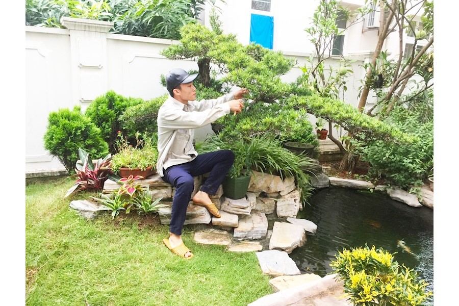 Thiết kế và Thi công dự án - Splendora