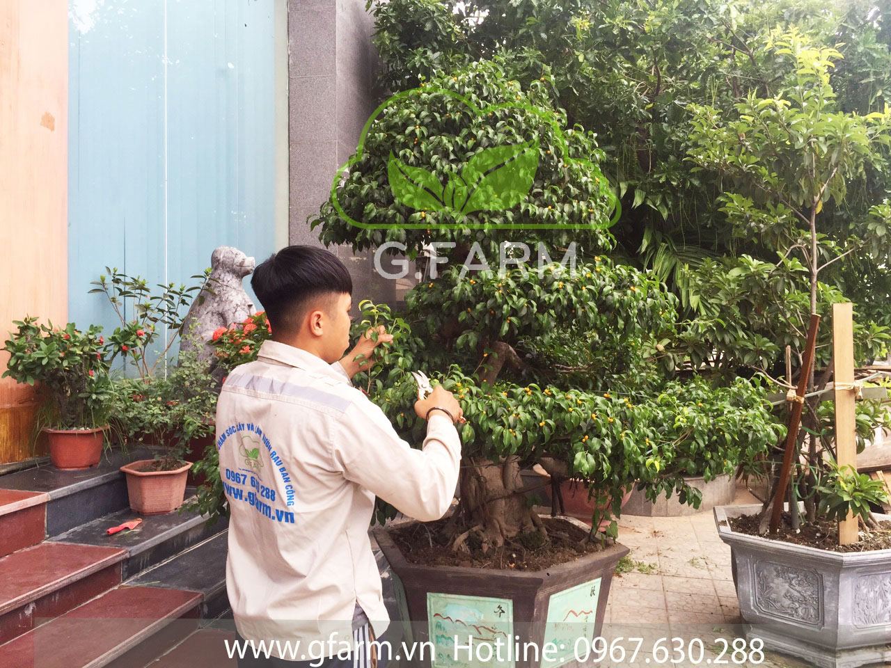 Thiết kế và Thi công dự án - Cô Hạnh