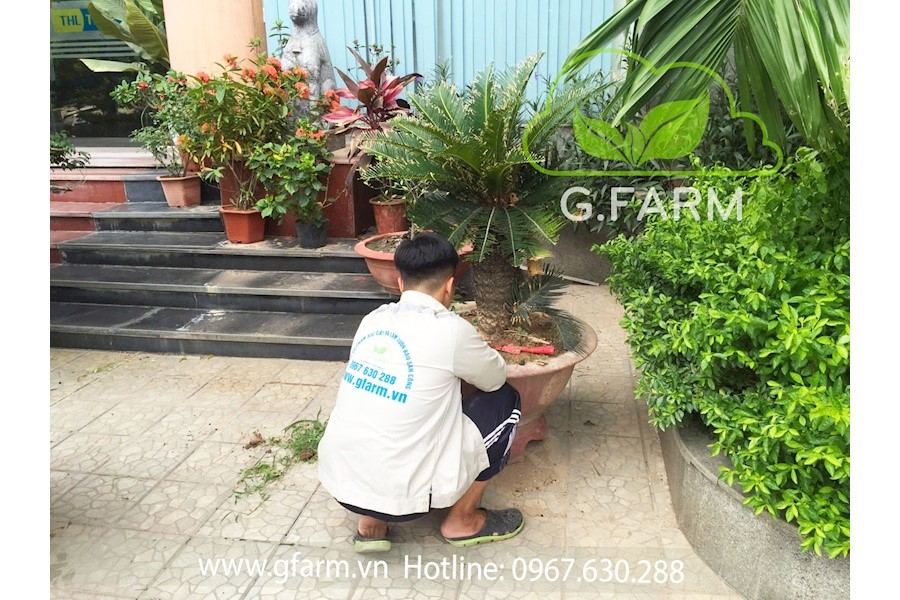 Thiết kế và Thi công dự án - Cô Hạnh