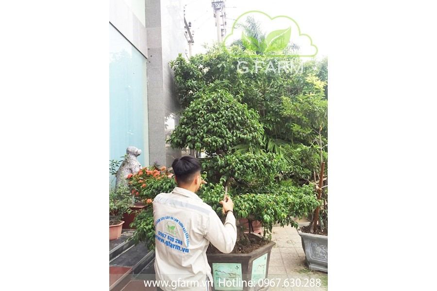 Thiết kế và Thi công dự án - Cô Hạnh
