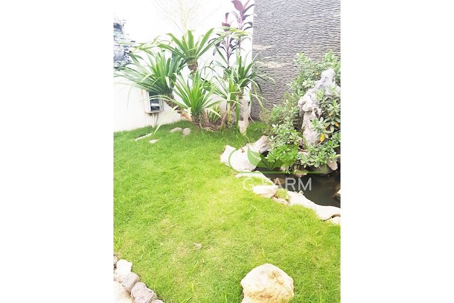 Thiết kế và Thi công dự án - Cty Tân Kỳ