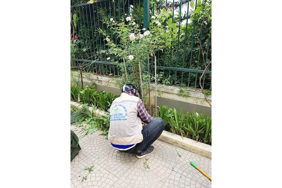 Thiết kế và Thi công dự án - Cty Tân Kỳ