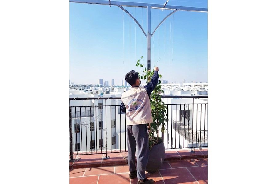 Thiết kế và Thi công dự án - The mamor