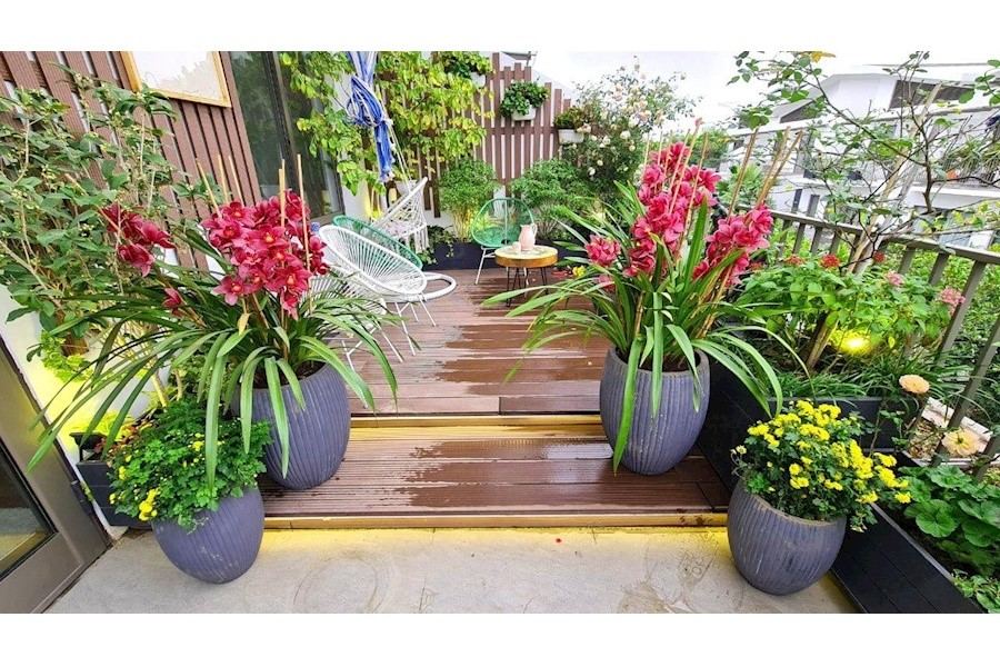 Thiết kế và Thi công dự án - The mamor