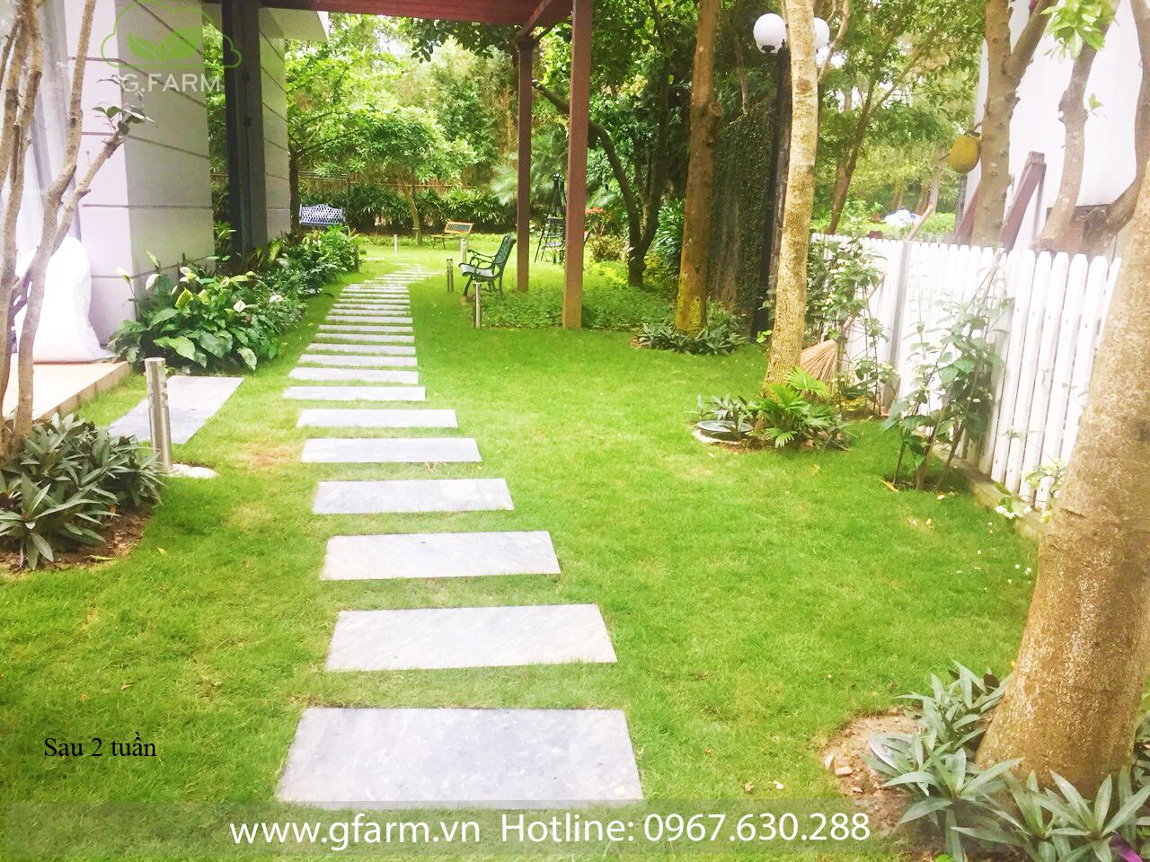 Thiết kế và Thi công dự án - Chị Mai Ly