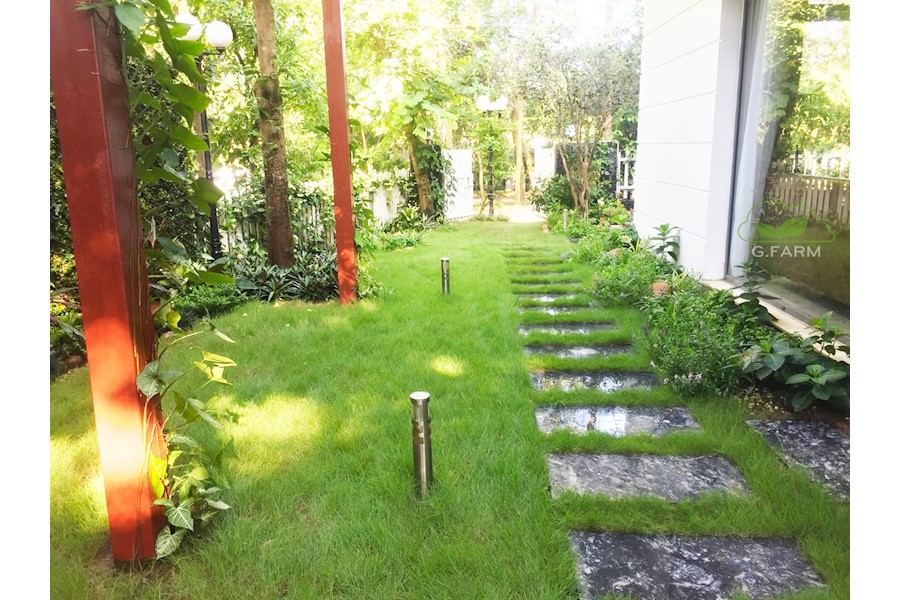Thiết kế và Thi công dự án - Chị Mai Ly