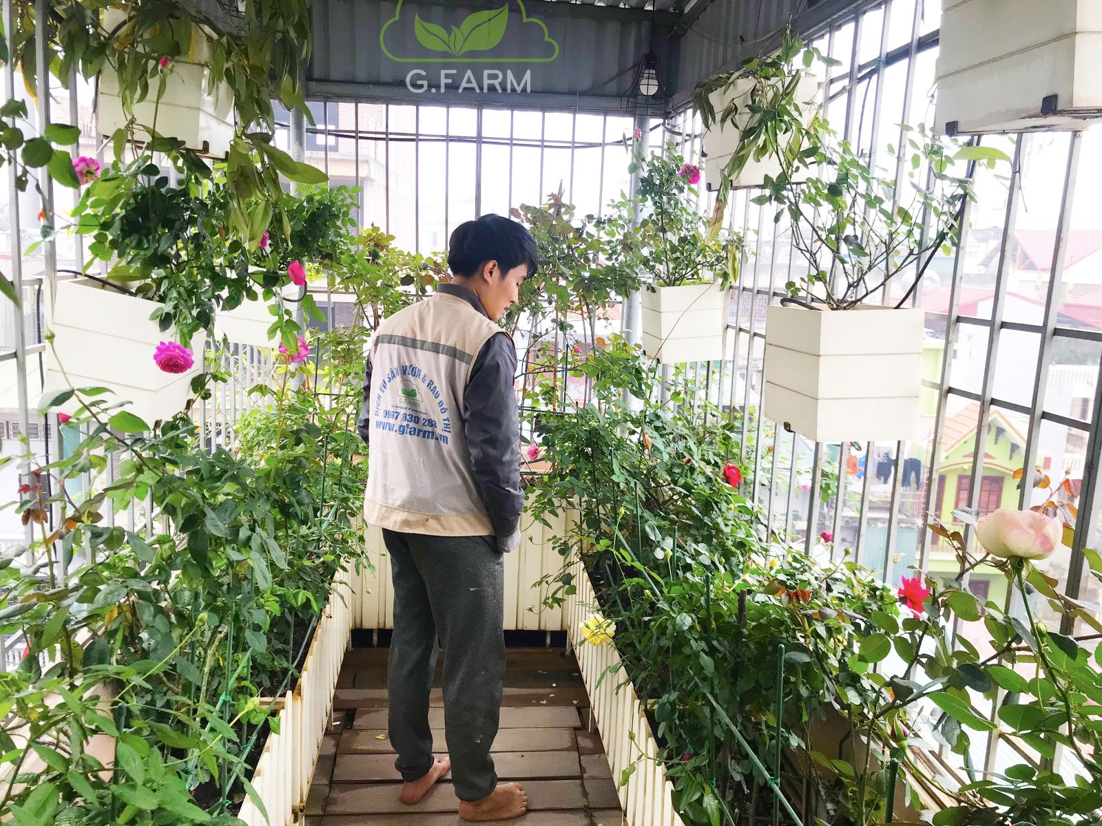 Thiết kế vườn hoa sân thượng- Chị Phương