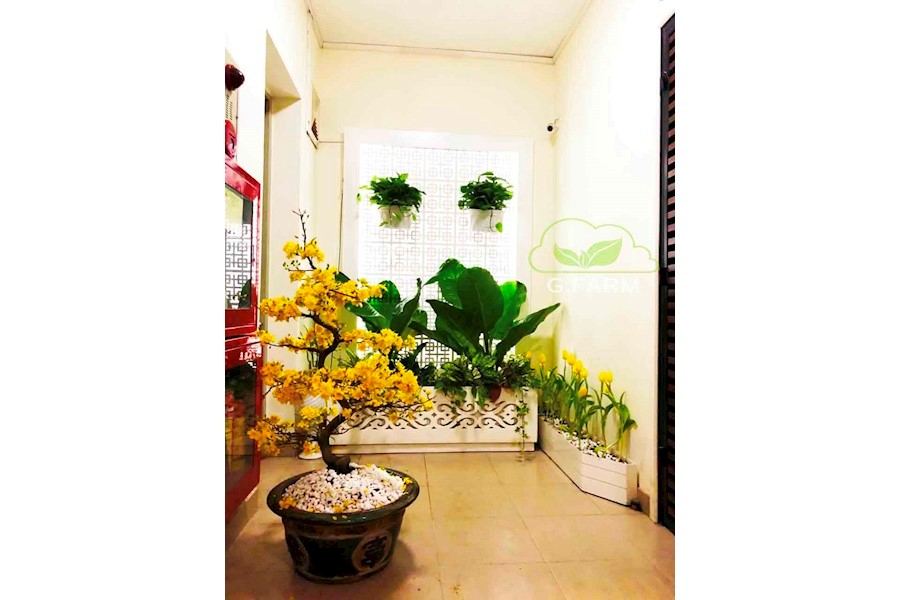 Thiết kế và Thi công dự án - Chị Hòa