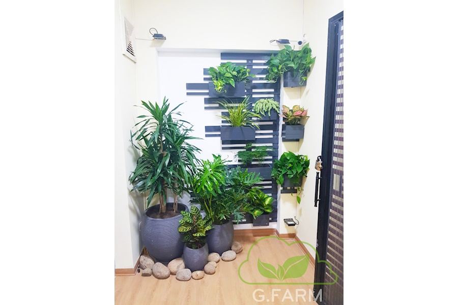 Mẫu thiết kế Ban công - Phong cách Châu Âu (Mã GF1)