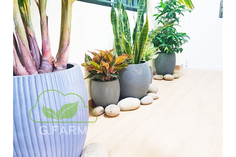 Mẫu thiết kế Ban công - Phong cách Châu Âu (Mã GF1)