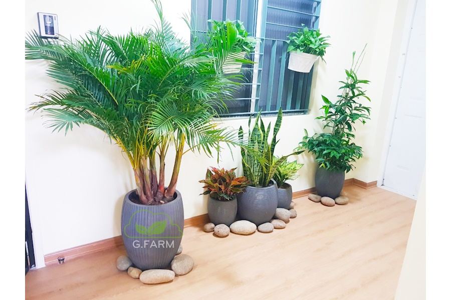 Mẫu thiết kế Ban công - Phong cách Châu Âu (Mã GF1)