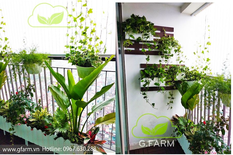 Mẫu thiết kế Ban công - Phong cách Châu Âu (Mã GF10)
