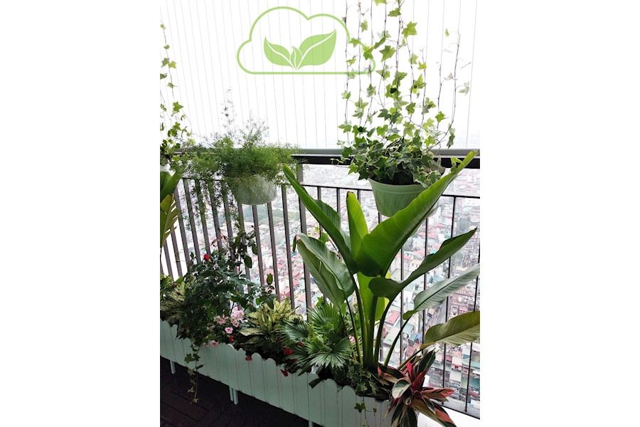 Mẫu thiết kế Ban công - Phong cách Châu Âu (Mã GF10)
