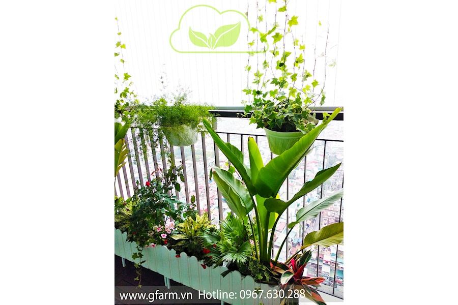 Mẫu thiết kế Ban công - Phong cách Châu Âu (Mã GF10)