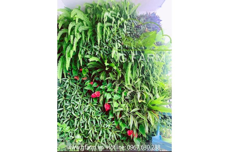 Mẫu thiết kế Ban công - Phong cách Phối hợp (Mã GF11)