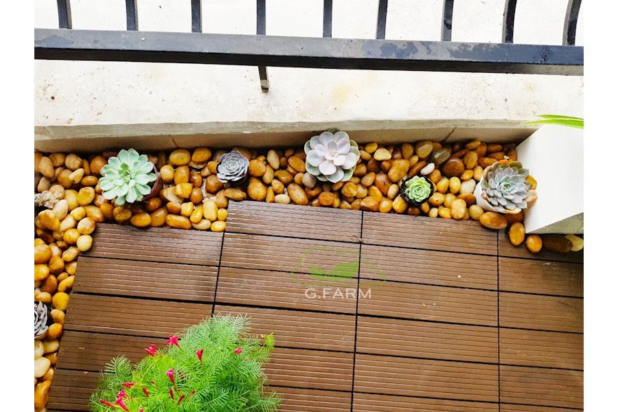 Mẫu thiết kế Ban công - Phong cách Phối hợp (Mã GF11)