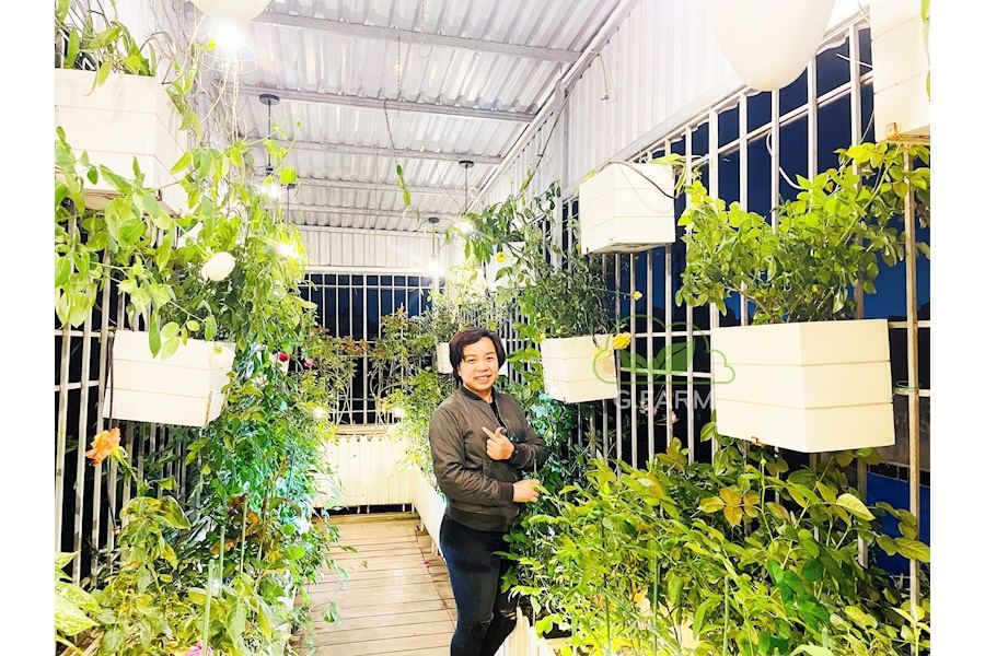 Mẫu thiết kế sân vườn Nhà phố - Phong cách Phối hợp (Mã GF13)