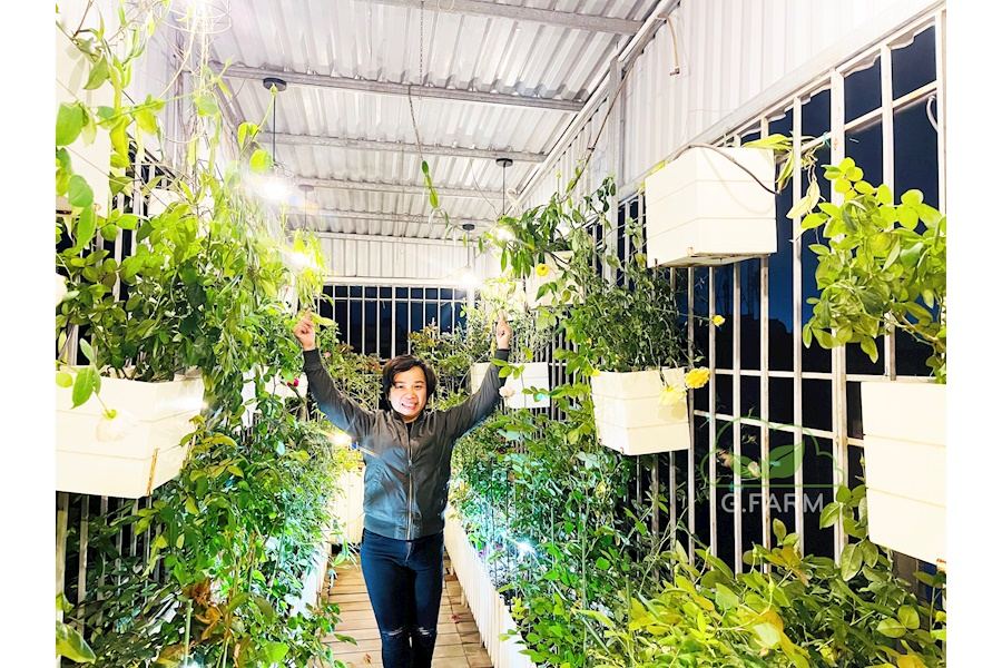 Mẫu thiết kế sân vườn Nhà phố - Phong cách Phối hợp (Mã GF13)