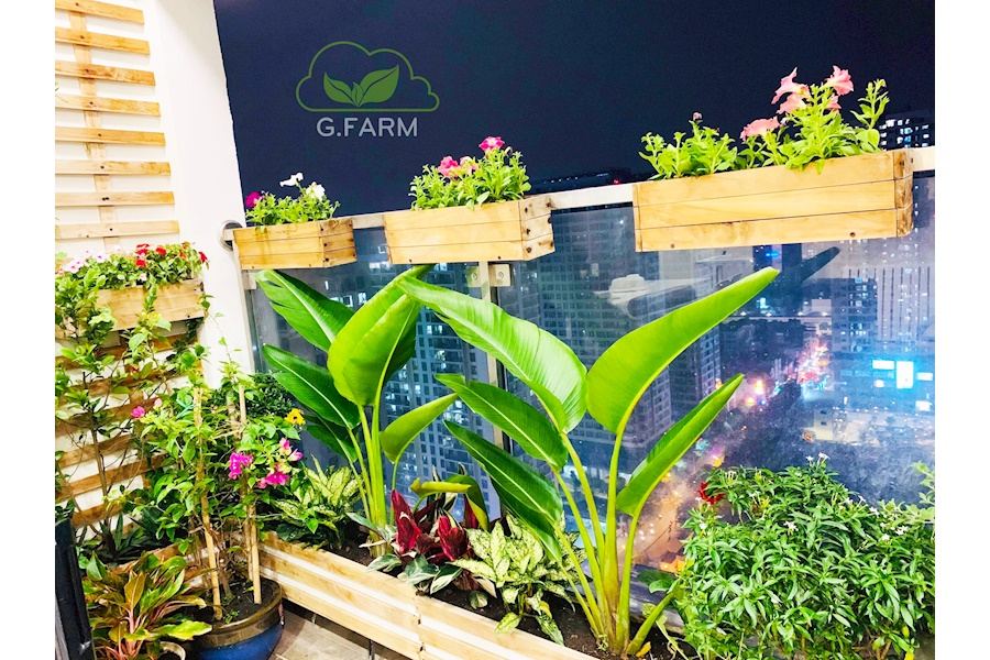 Mẫu thiết kế Ban công - Phong cách Nhà việt (Mã GF15)
