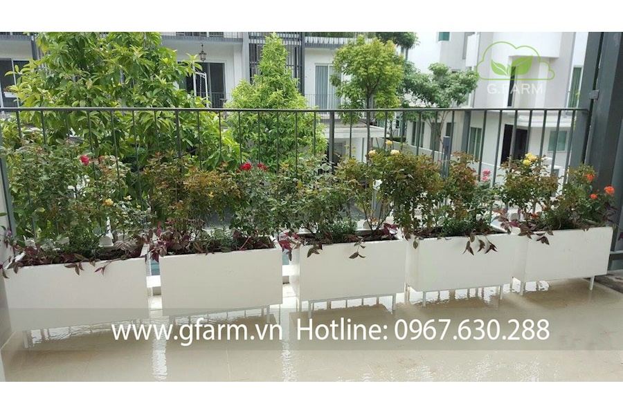 Mẫu thiết kế Ban công - Phong cách Châu Âu (Mã GF16)