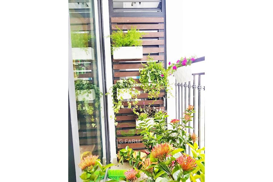 Mẫu thiết kế Ban công - Phong cách Phối hợp (Mã GF17)