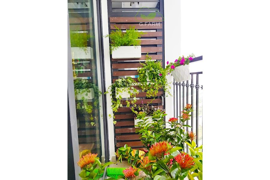 Mẫu thiết kế Ban công - Phong cách Phối hợp (Mã GF17)