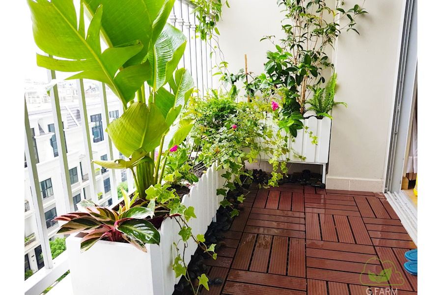 Mẫu thiết kế Ban công - Phong cách Châu Âu (Mã GF18)