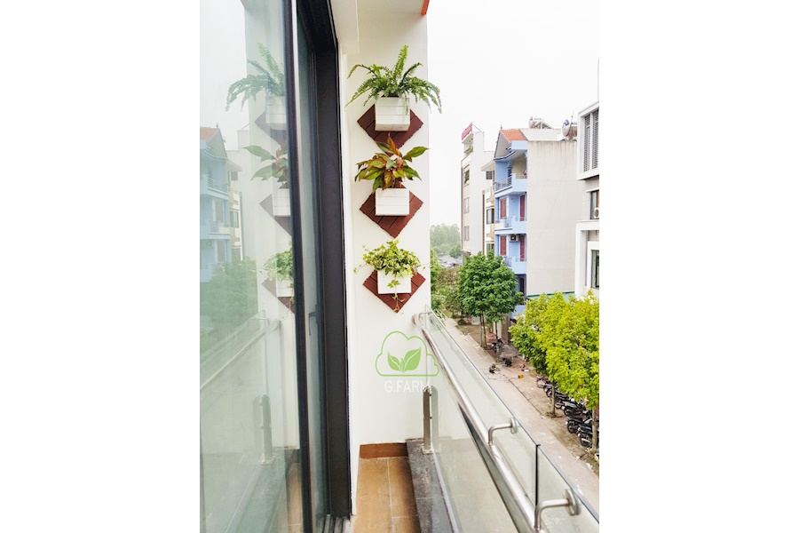 Mẫu thiết kế sân vườn Nhà phố - Phong cách Châu Âu (Mã GF19)