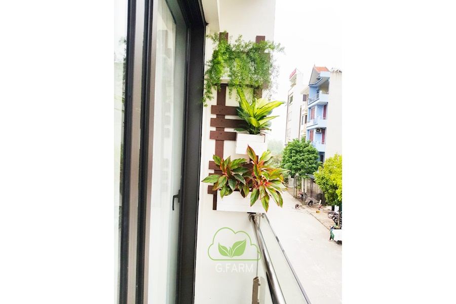 Mẫu thiết kế sân vườn Nhà phố - Phong cách Châu Âu (Mã GF19)