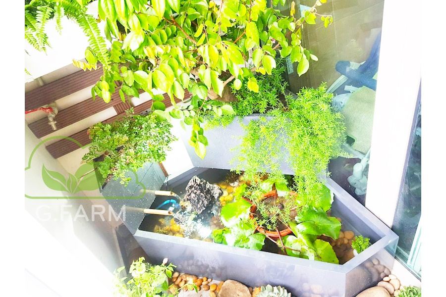 Mẫu thiết kế Ban công - Phong cách Phối hợp (Mã GF20)