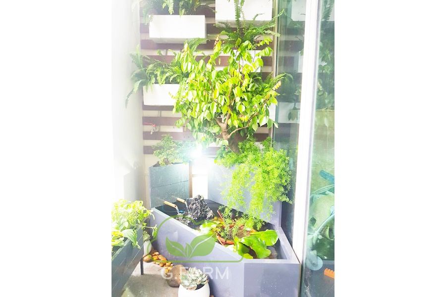 Mẫu thiết kế Ban công - Phong cách Phối hợp (Mã GF20)
