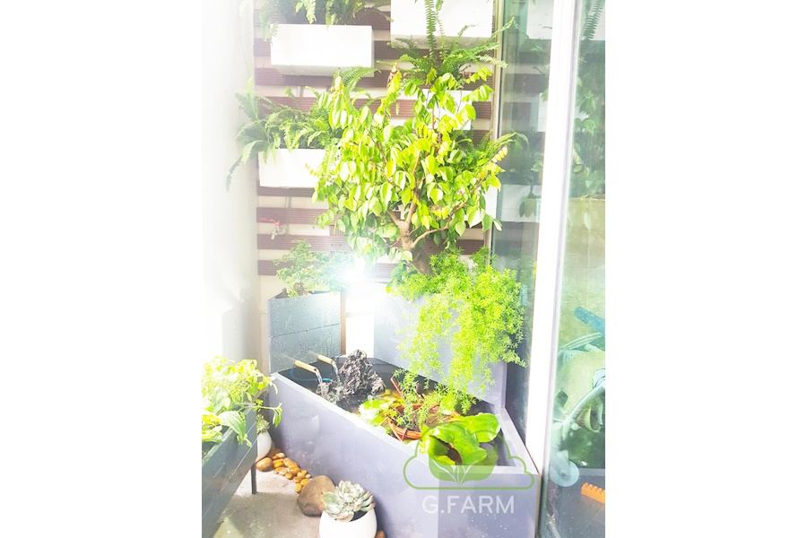 Mẫu thiết kế Ban công - Phong cách Phối hợp (Mã GF20)
