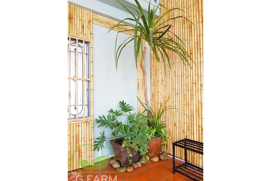 Mẫu thiết kế sân vườn Nhà phố - Phong cách Nhà việt (Mã GF21)