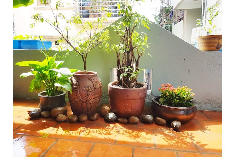 Mẫu thiết kế sân vườn Nhà phố - Phong cách Nhà việt (Mã GF21)