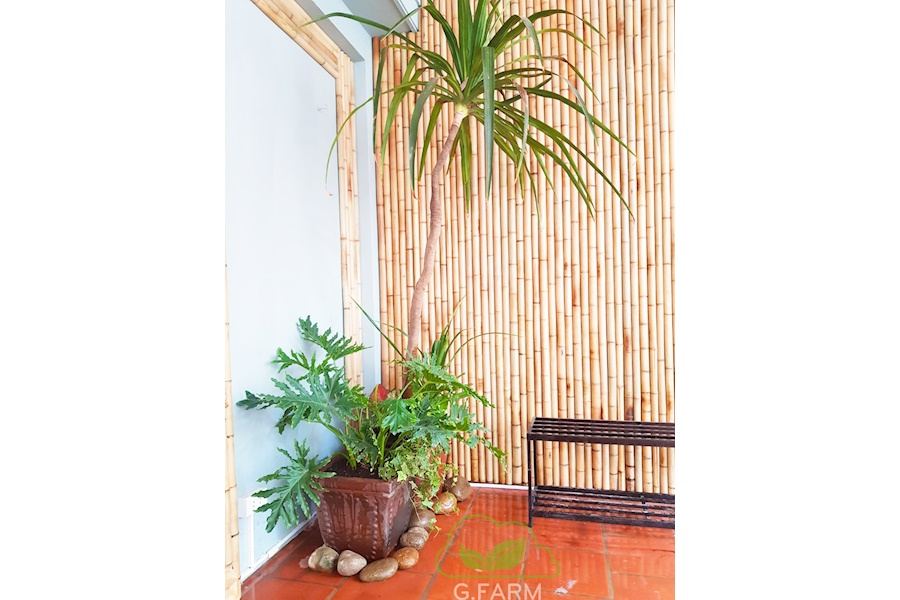 Mẫu thiết kế sân vườn Nhà phố - Phong cách Nhà việt (Mã GF21)