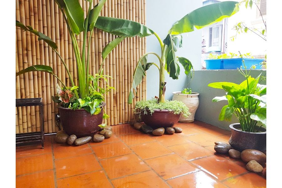 Mẫu thiết kế sân vườn Nhà phố - Phong cách Nhà việt (Mã GF21)