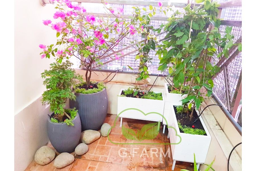 Mẫu thiết kế Ban công - Phong cách Phối hợp (Mã GF22)