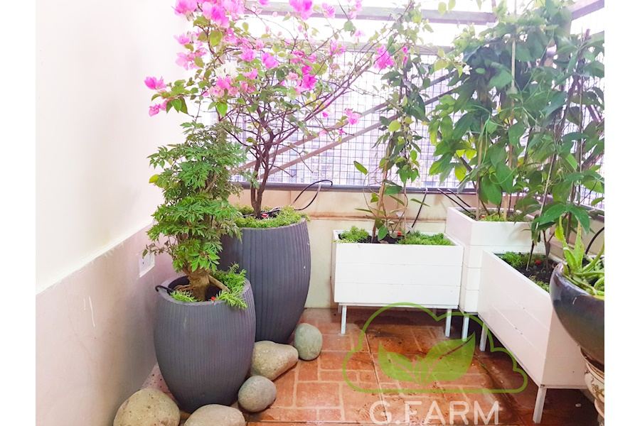 Mẫu thiết kế Ban công - Phong cách Phối hợp (Mã GF22)