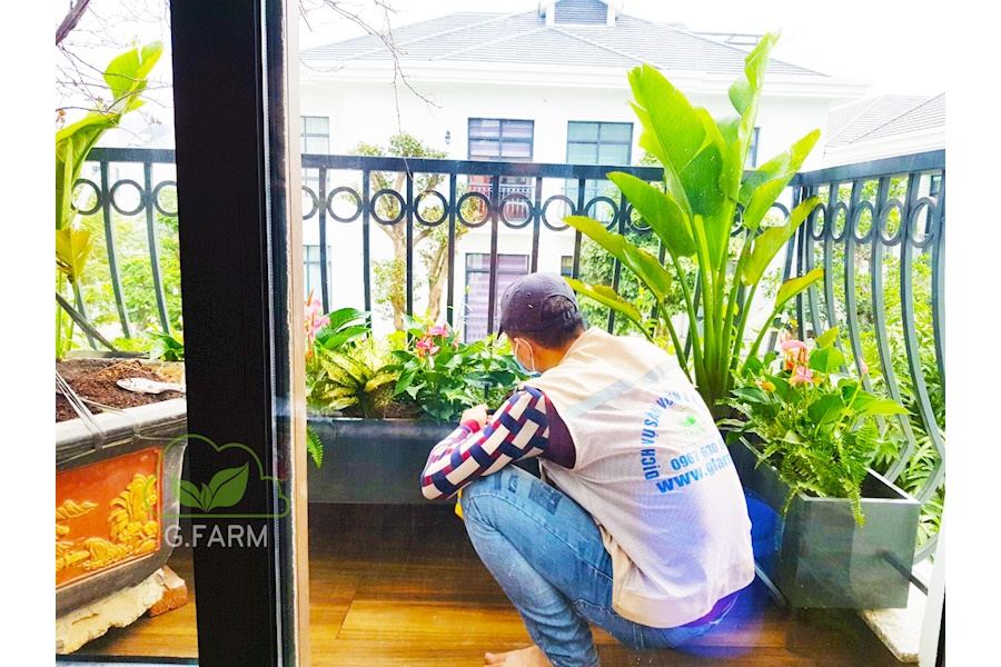 Mẫu thiết kế sân vườn Nhà phố - Phong cách Phối hợp (Mã GF23)