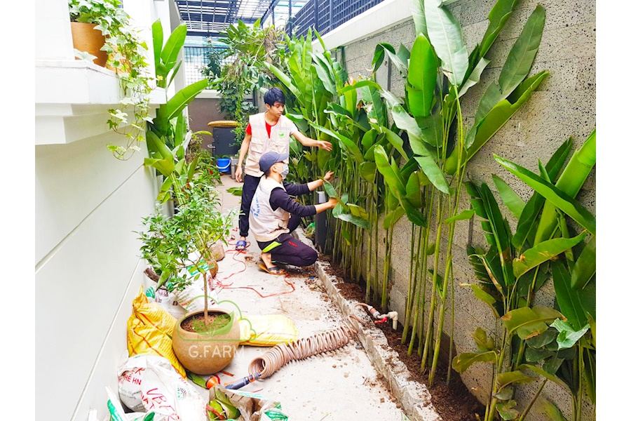 Mẫu thiết kế sân vườn Nhà phố - Phong cách Phối hợp (Mã GF23)