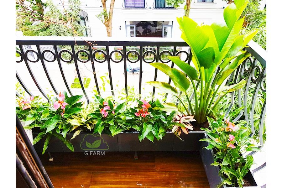 Mẫu thiết kế sân vườn Nhà phố - Phong cách Phối hợp (Mã GF23)