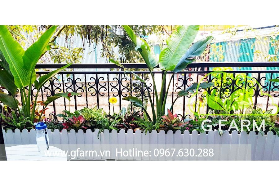 Mẫu thiết kế Ban công - Phong cách Châu Âu (Mã GF25)