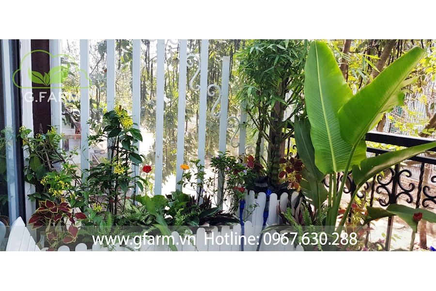 Mẫu thiết kế Ban công - Phong cách Châu Âu (Mã GF25)